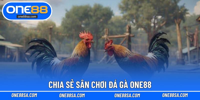 Đá Gà ONE88 – Cá Cược Kịch Tính Với Tỷ Lệ Thưởng Cao